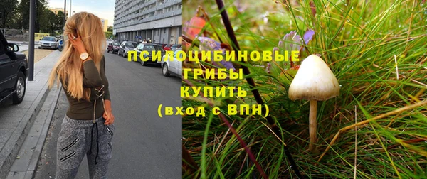 соль ск Алзамай