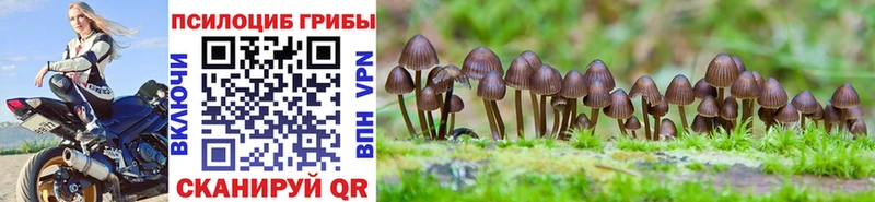 Псилоцибиновые грибы GOLDEN TEACHER  Таруса 